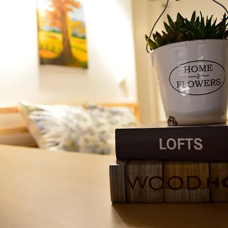Exclusive Rustic Loft With Terrace Penzion